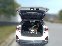 Wuling Alvez 2022 (9800 км)