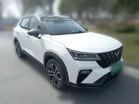 Wuling Alvez 2022 (9800 км)