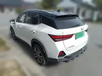 Wuling Alvez 2022 (9800 км)