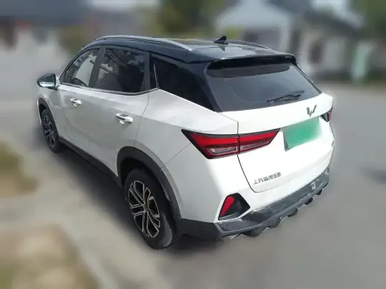 Wuling Alvez 2022 (9800 км)