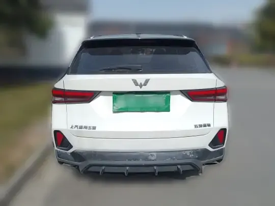 Wuling Alvez 2022 (9800 км)
