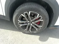 Wuling Alvez 2022 (9800 км)