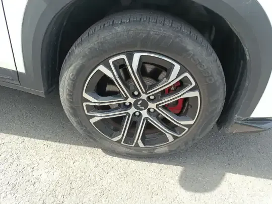 Wuling Alvez 2022 (9800 км)