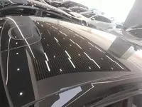 Lotus ELETRE 2023 (39200 км)