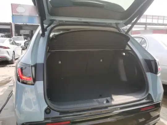 Honda ZR-V 2023 (100 км)
