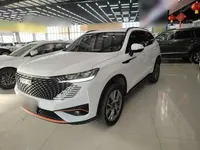 Haval H6 2022 (14200 км)