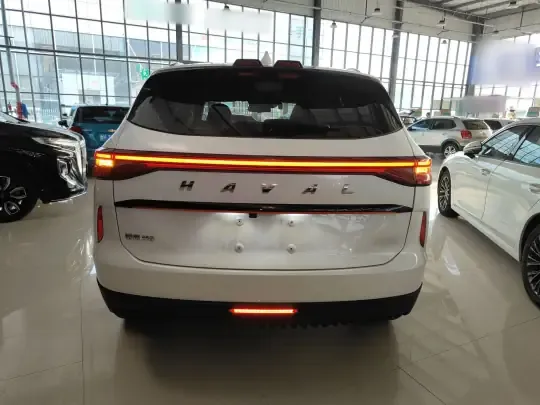 Haval H6 2022 (14200 км)