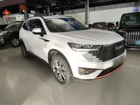 Haval H6 2022 (14200 км)