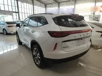Haval H6 2022 (14200 км)