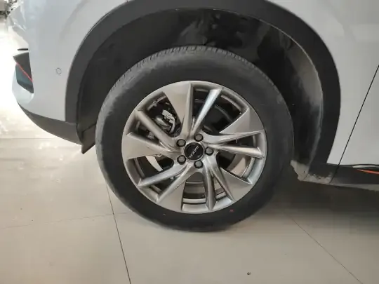 Haval H6 2022 (14200 км)