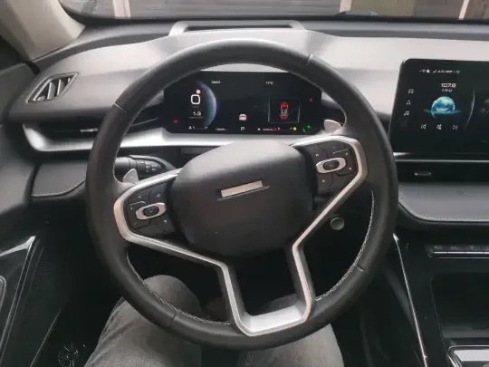 Haval H6 2022 (20000 км)