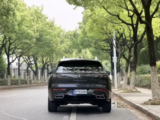 Volkswagen Tavendor 2023 (27000 км)