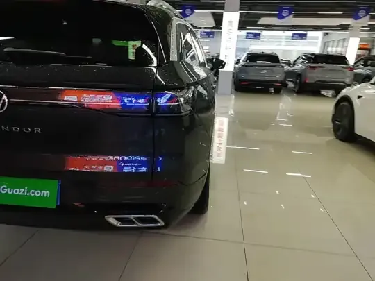Volkswagen Tavendor 2023 (27000 км)