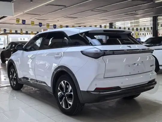 NETA U 2022 (82200 км)