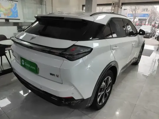 NETA U 2022 (82500 км)