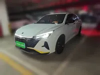 Dongfeng Aeolus Yixuan 2023 (11399 км)