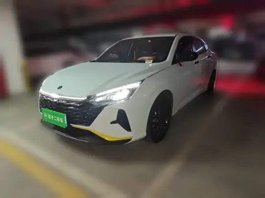 Dongfeng Aeolus Yixuan 2023 (11399 км)