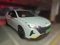 Dongfeng Aeolus Yixuan 2023 (11399 км)