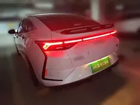 Dongfeng Aeolus Yixuan 2023 (11399 км)