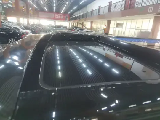 Cyberspace Tank 300 2023 (45500 км)