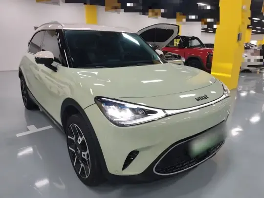 smart #1 2022 (36900 км)