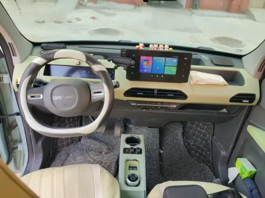 Geely Galaxy Panda 2023 (11200 км)