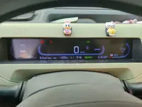 Geely Galaxy Panda 2023 (11200 км)