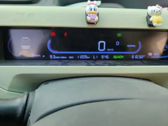 Geely Galaxy Panda 2023 (11200 км)