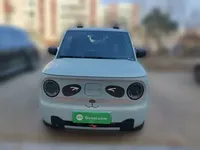 Geely Galaxy Panda 2023 (11200 км)
