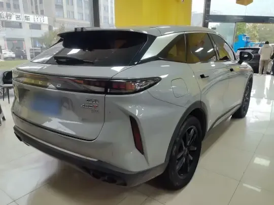 EXEED Stellar 2023 (41100 км)