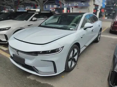VOYAH PASSION 2023 (46600 км)