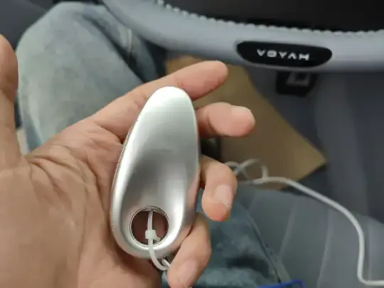 VOYAH PASSION 2023 (46600 км)