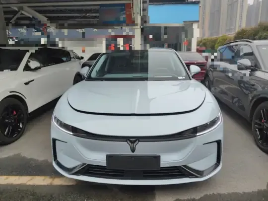 VOYAH PASSION 2023 (46600 км)