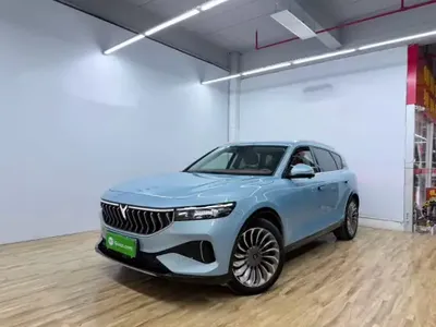 VOYAH FREE 2023 (16100 км)