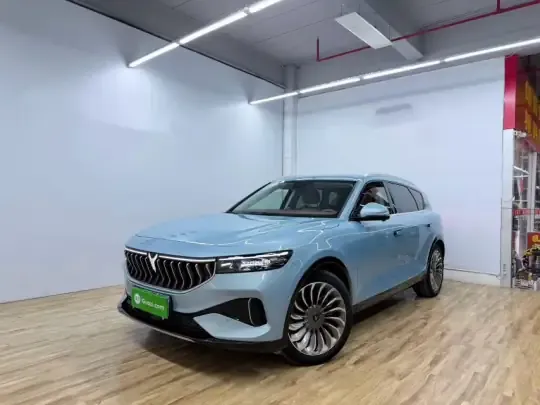 VOYAH FREE 2023 (16100 км)