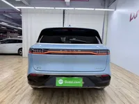 VOYAH FREE 2023 (16100 км)