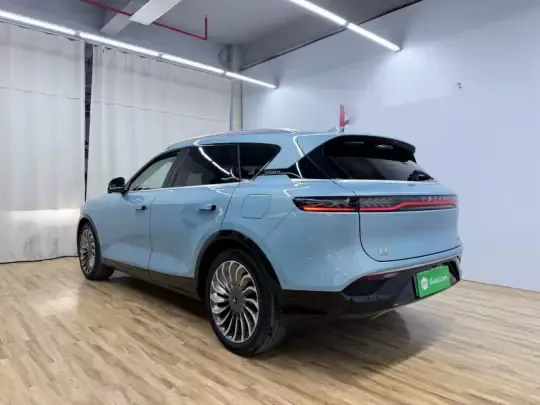 VOYAH FREE 2023 (16100 км)
