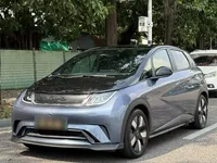BYD Dolphin 2023 (95700 км)