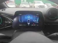 BYD Dolphin 2023 (95700 км)