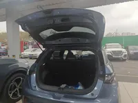 BYD Dolphin 2023 (95700 км)
