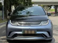 BYD Dolphin 2023 (95700 км)