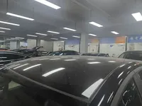 BYD Dolphin 2023 (95700 км)