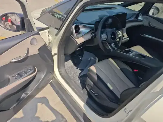 BYD Dolphin 2023 (43000 км)