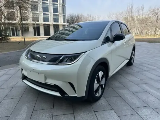 BYD Dolphin 2023 (37100 км)