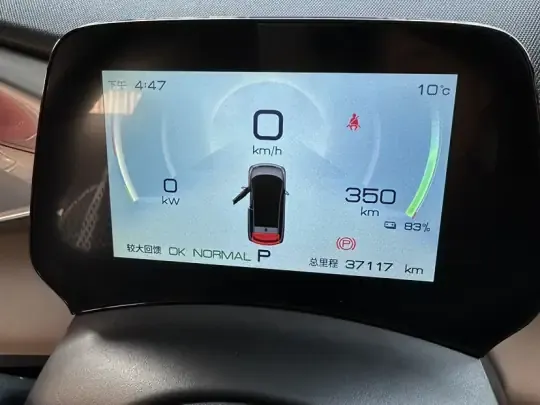 BYD Dolphin 2023 (37100 км)