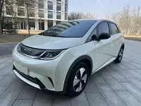 BYD Dolphin 2023 (37100 км)