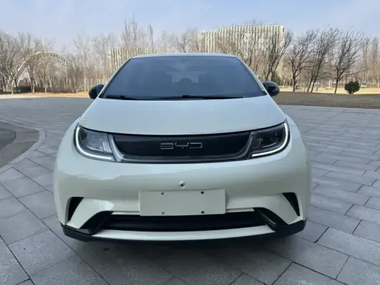 BYD Dolphin 2023 (37100 км)