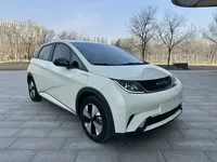 BYD Dolphin 2023 (37100 км)
