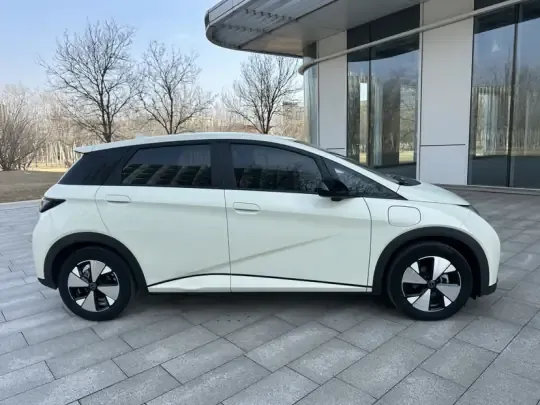 BYD Dolphin 2023 (37100 км)