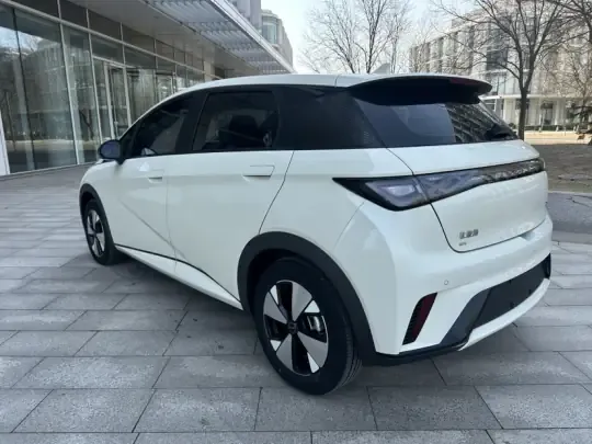 BYD Dolphin 2023 (37100 км)
